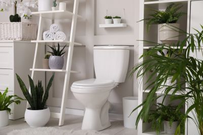 Eco-Friendly Bathroom Features